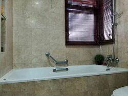 Palm Grove Condominium (D19), Condominium #378386991